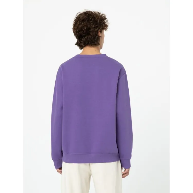 Dickies Garden Plain Felpa Uomo in Cotone Felpato Viola