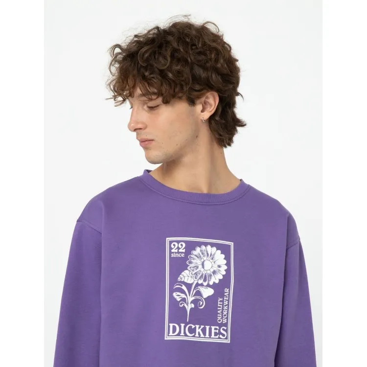 Dickies Garden Plain Felpa Uomo in Cotone Felpato Viola