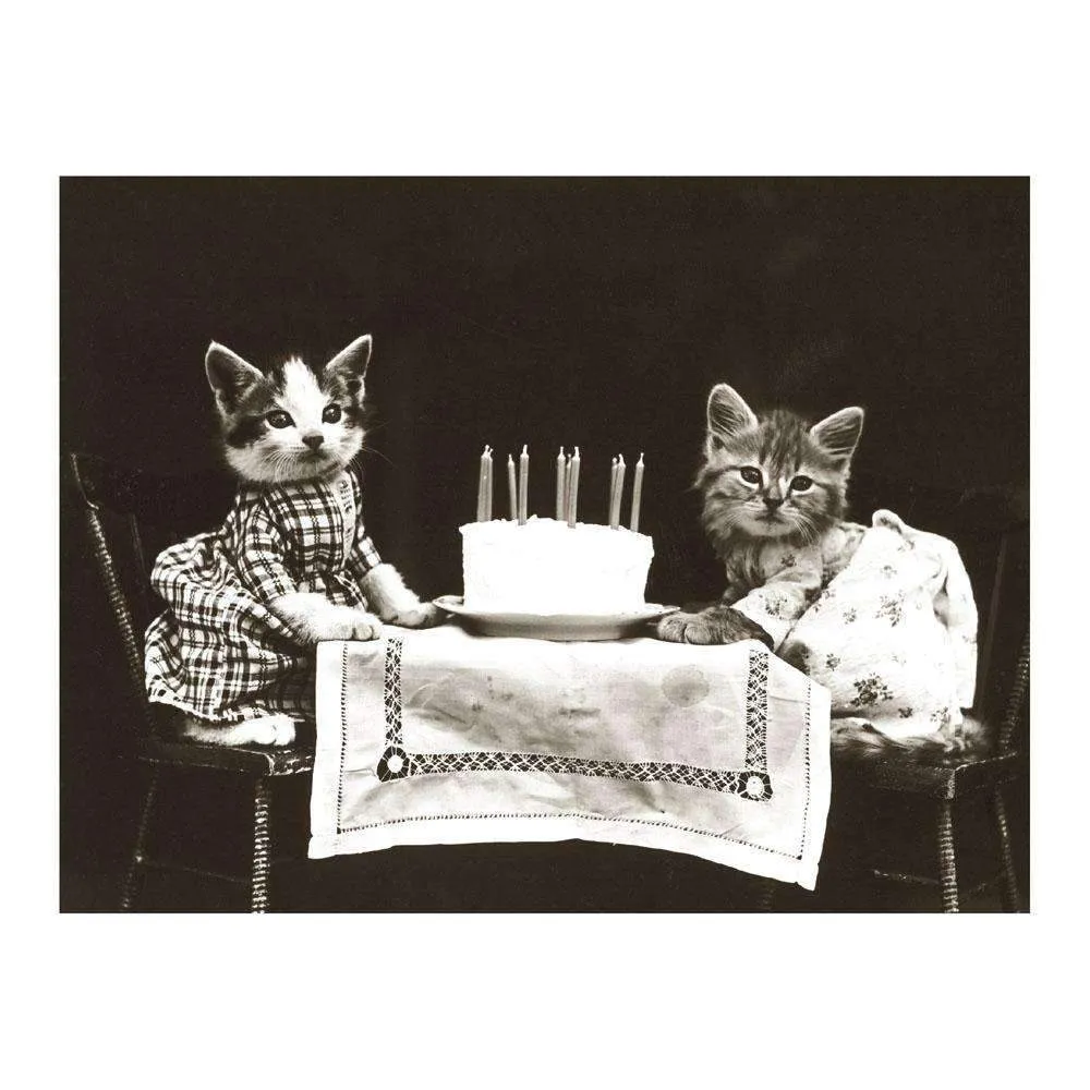 Vintage Cat DIY Meme Boxed Cards